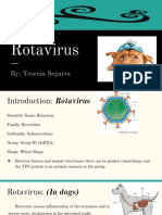 Rotavirus Presentation