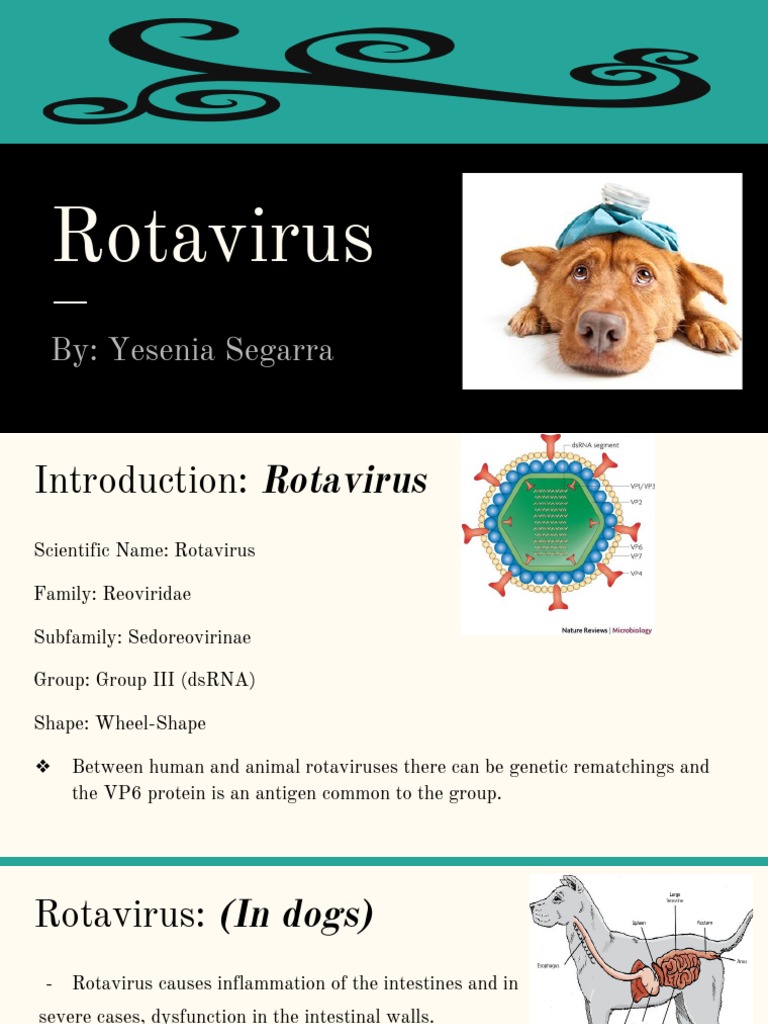 Rotavirus Rash Pictures