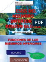 HUESOS MMII -RG GLÚTEA.pdf