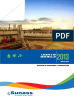 eps_desarrollo_2013.pdf