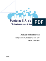 Activos de La Empresa _PANTERAS