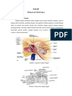 Anatomi Telinga Tengah