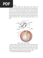 Rus pornosi: er uxlab yotgan, xotin sikilgan