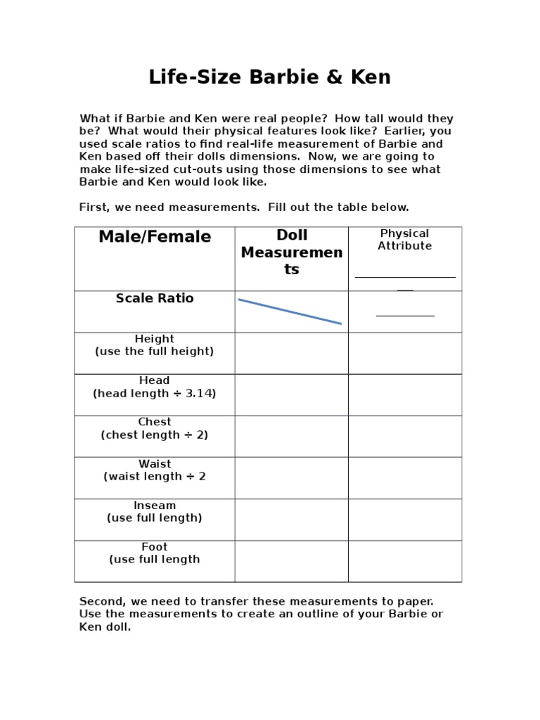 ken doll measurements
