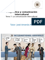 Tema 7. La Comunicación Intercultural