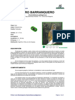 Ficha LORO BARRANQUERO - Cyanoliseus Patagonus - PDF