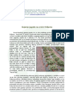 Gajenje jagode na crnim folijama.pdf
