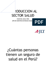 Introduccion Al Sector Salud 30032017
