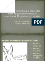 Anatomia Chirurgicală A Mușchilor Feței