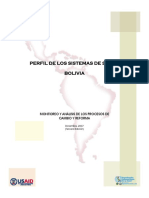 Perfil_Sistema_Salud-Bolivia_2008.pdf