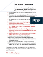 The 12 Steps Muscle Contraction