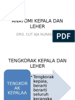 Anatomi Kepala Dan Leher