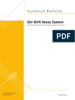 Gel Shift Assay Systems