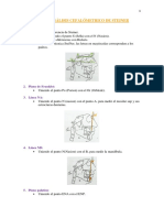  Analisis Cefalometrico Steiner