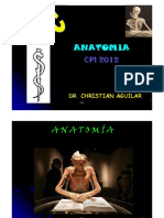 CFC - Osteología Ms PDF