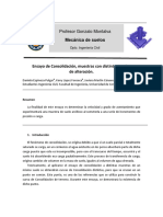 Ensayo de Consolidación PDF