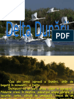 Delta Dunării