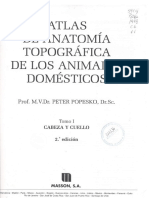 Datos Agrop. Atlas de Anatomia Topografica de Los Animales Domesticos (Peter Popesko) Tomo I PDF