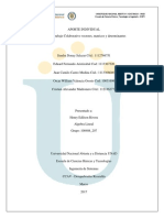 Trabajo Colaborativo vectores, matrices y determinantes