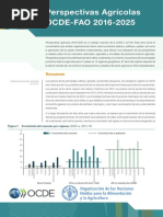 Perpectivas Agricolas OCDE FAO 2016-2025