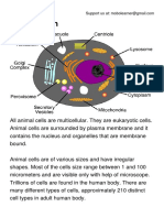 Animal Cell PDF