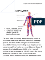 The Cardiovascular System .pdf