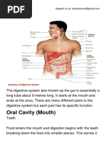 The Digestive System.pdf