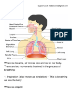 The Breathing System.pdf