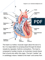 The Heart.pdf