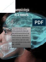 Neuropsicología de La Memoria