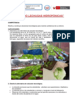 Cultivando Lechugas Hidropónicas I.e.n° 148 - 2017