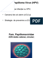 HPV R