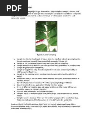 Leaf Sampling