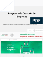 programa  de incubacion en linea.pdf