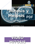 Mitosis y Meiosis 014 - 2012