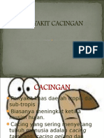 Penyuluhan Kecacingan