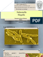 Salmonella - Shigella