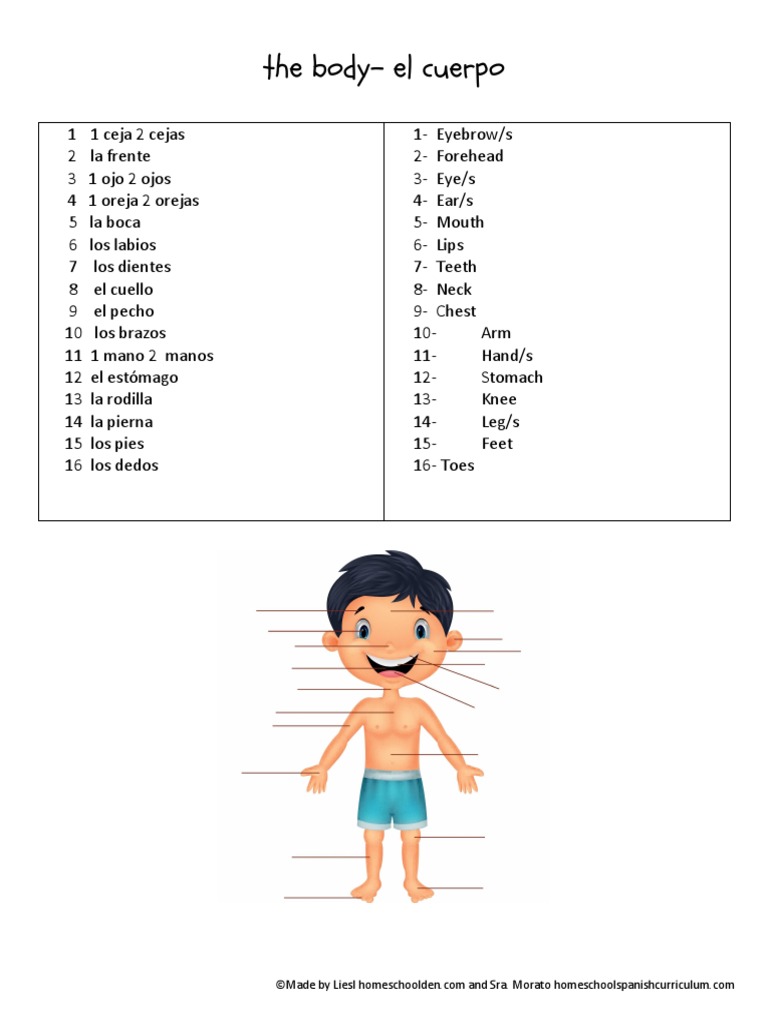 Free-Spanish-Worksheet 1 | PDF | Grammatical Gender | Morphology, image size:768x1024
