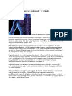 Notiuni de Anatomie Ale Coloanei Vertebrale