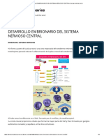 Desarrollo Embrionario Del Sistema Nervioso Central