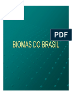 Biomasbrasil PDF