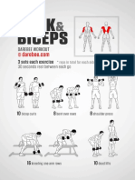 Back and Biceps Workout PDF