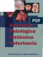 LibrodeAPSV.pdf