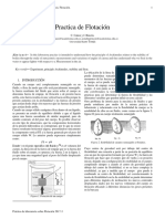 Informe de Experimento de Flotacion