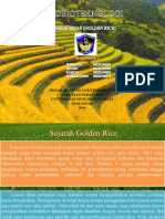 Makalah Golden Rice