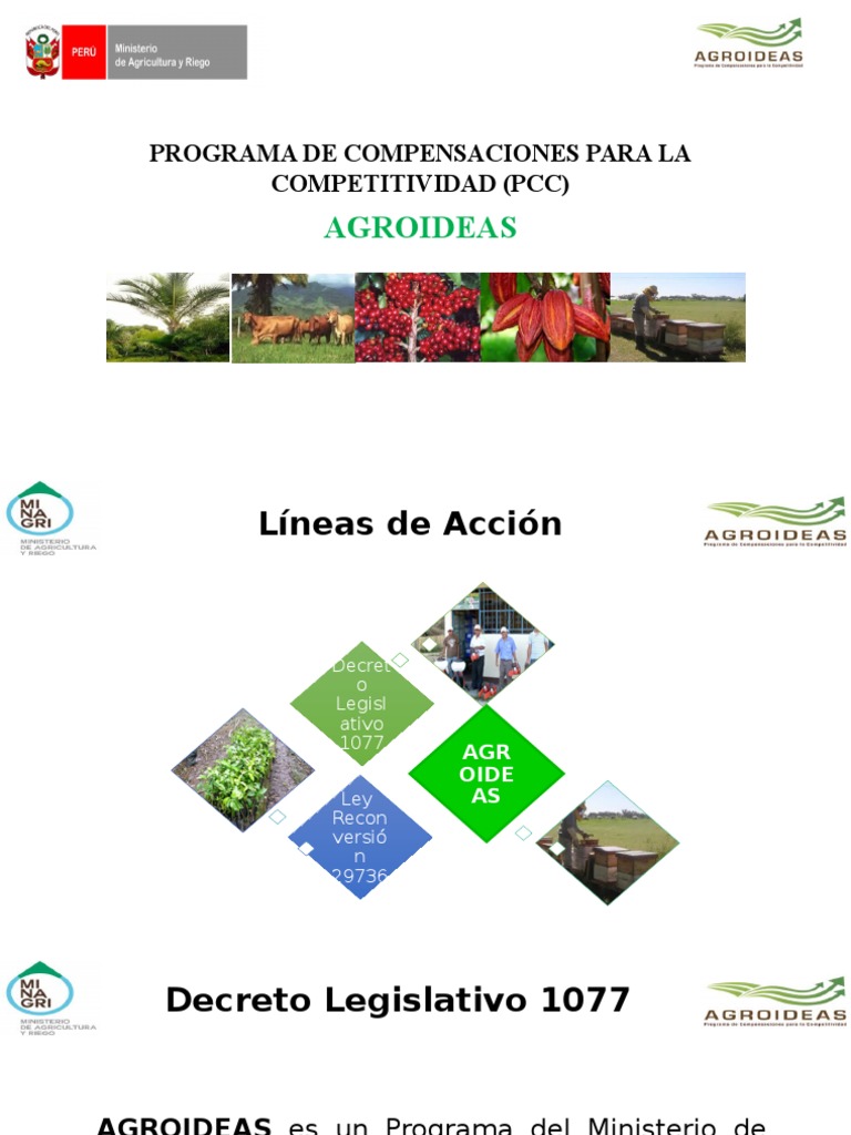 Cadenas Productivas Competitividad Agricultura