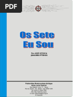 Os Sete Eu Sou.pdf