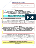 Catabolismo_glucidos.pdf