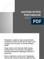 Anatomi Sistem Persyarafan