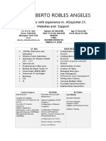 CV Juan Roberto Robles Angeles 2017 v5.0 